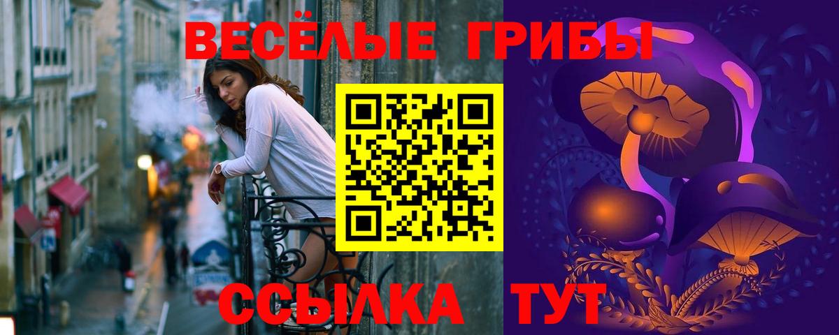 Галлюциногенные грибы прущие грибы  Вход с VPN  Ржев  Галлюциногенные грибы ЛСД 