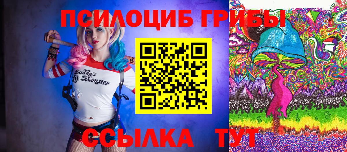 Галлюциногенные грибы Psilocybine cubensis Ржев